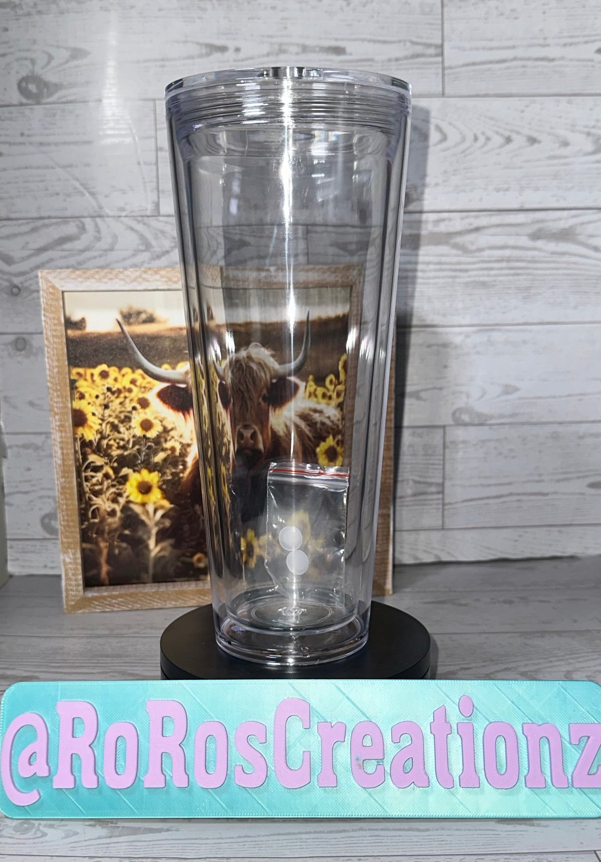 24oz Snowglobe