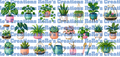 Exclusive Plant 2