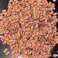Orange Fish Clays